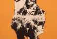 Bild des Benutzers Sven Heising
